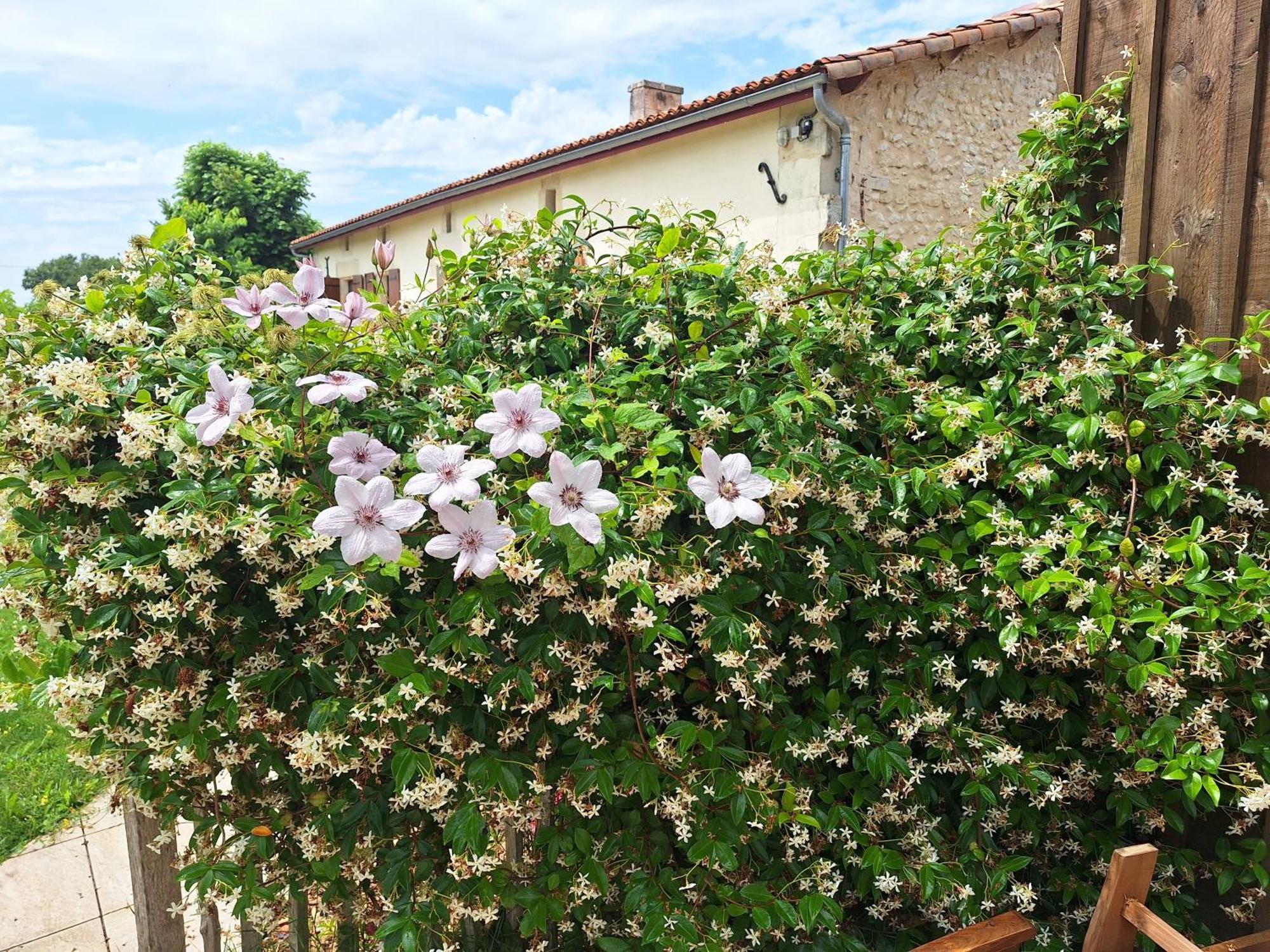 Gite Cosy Grand Confort Dans Un Ecrin De Verdure Agudelle Екстериор снимка