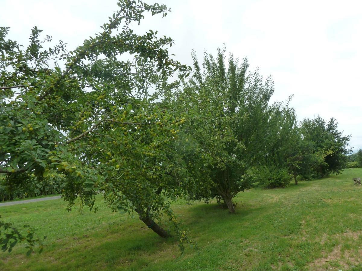 Gite Cosy Grand Confort Dans Un Ecrin De Verdure Agudelle Екстериор снимка