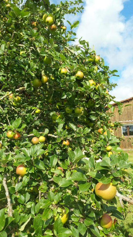 Gite Cosy Grand Confort Dans Un Ecrin De Verdure Agudelle Екстериор снимка